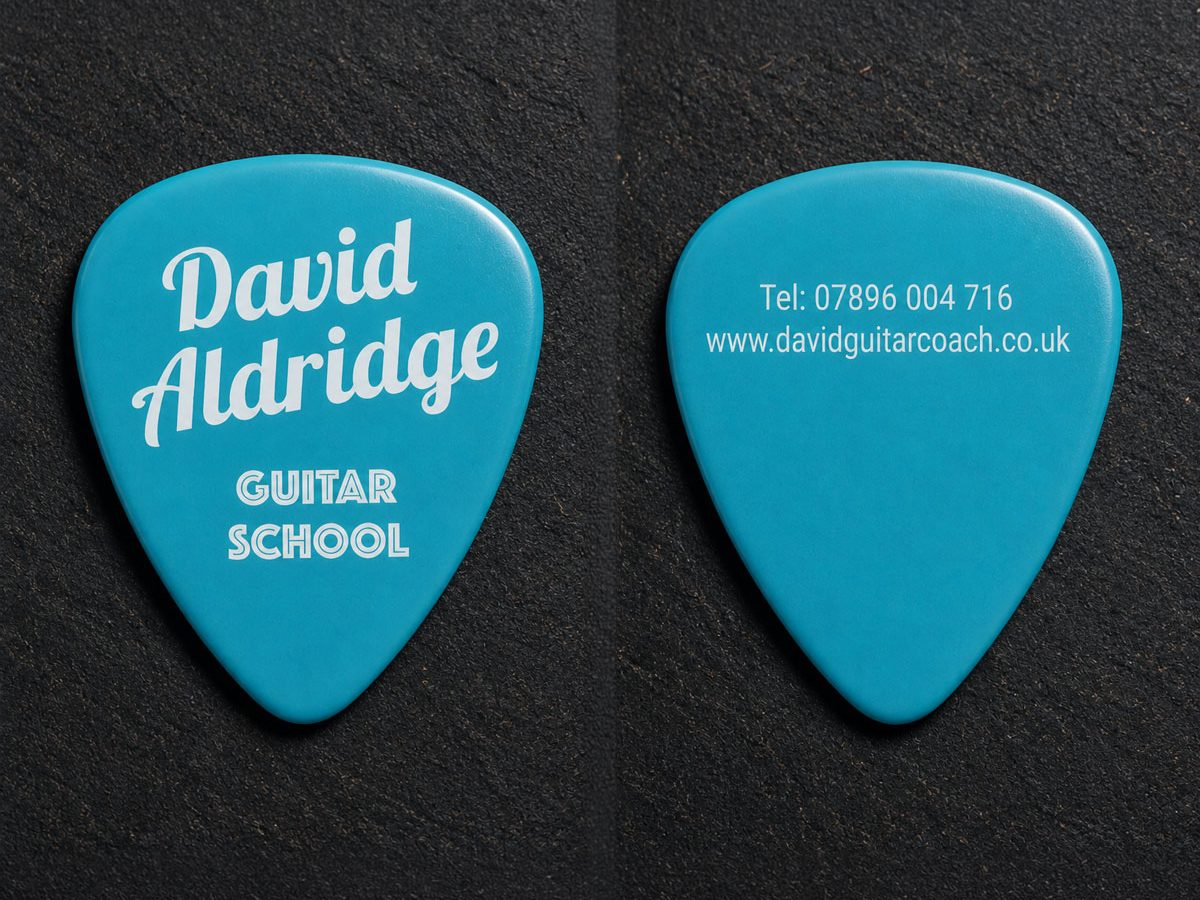 Branded Guitar Plectrum