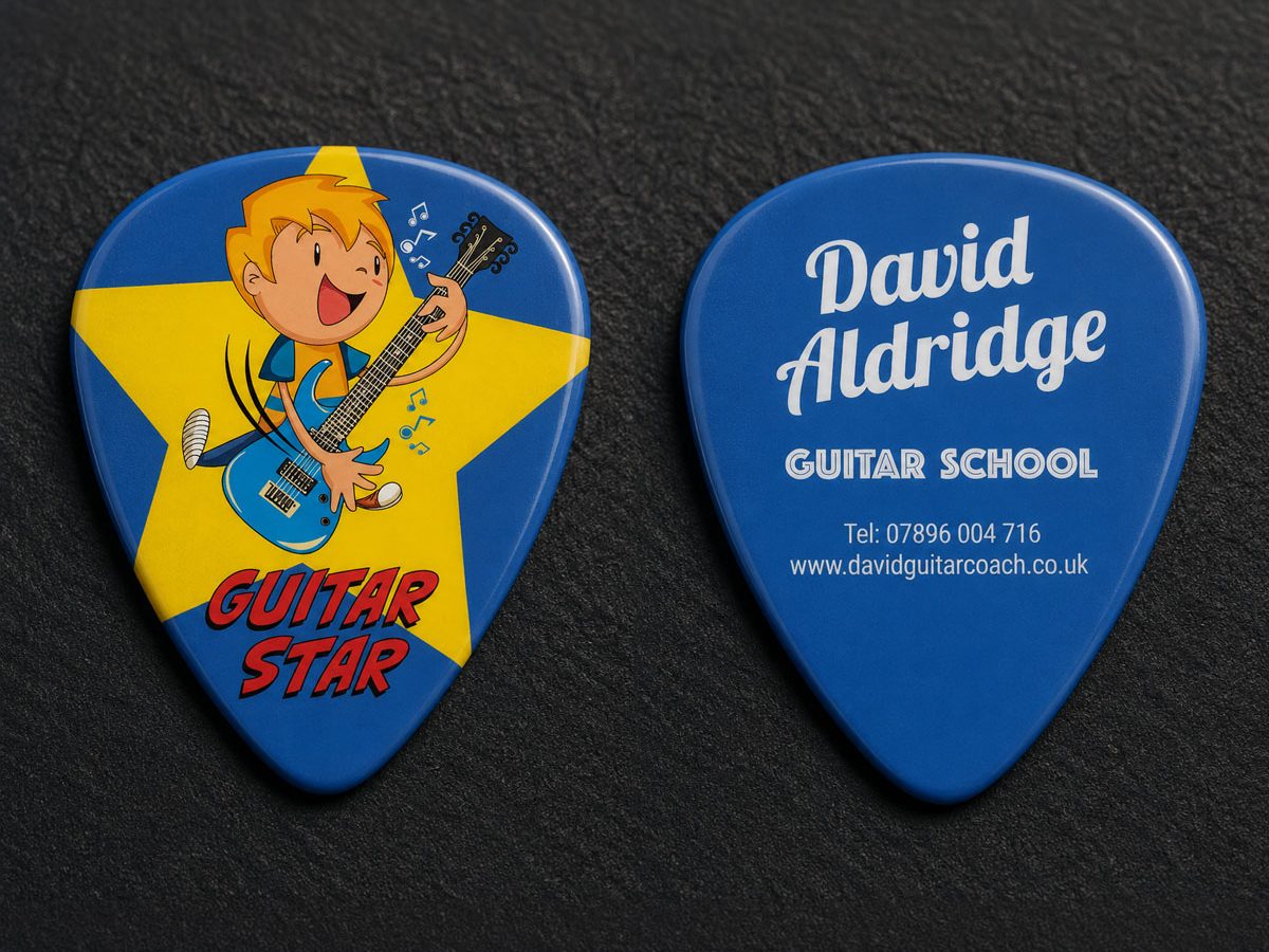 Guitar Star in 30 Days Plectrum